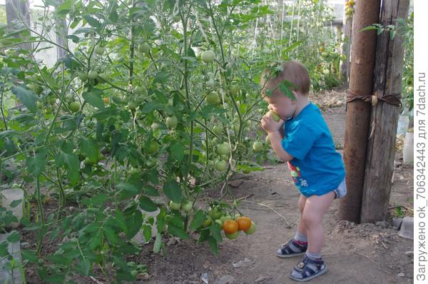 Что бы мы делали если бы у нас не было такого замечательно сыночка,помощника,нам годик,а мы уже помогаем на даче!!