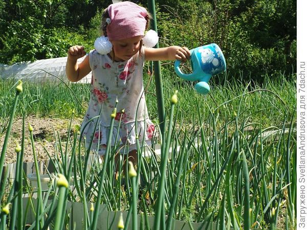 Ангелина поливает