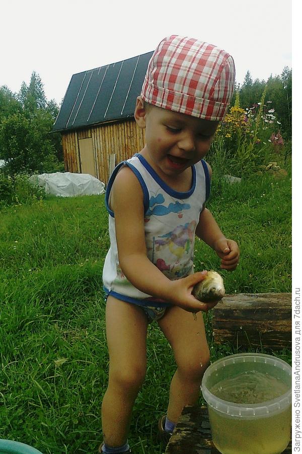 С рыбкой