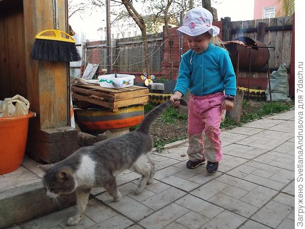 С котом