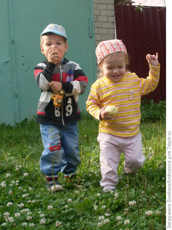 Бегом вкуснее