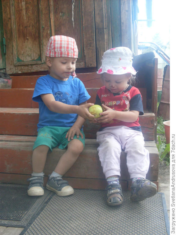 Брат угощает сестру