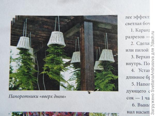 Весьма необычно)
