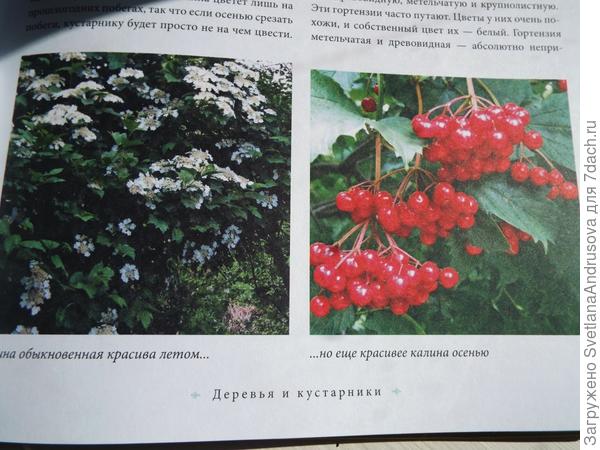 Яркие фото иллюстрации