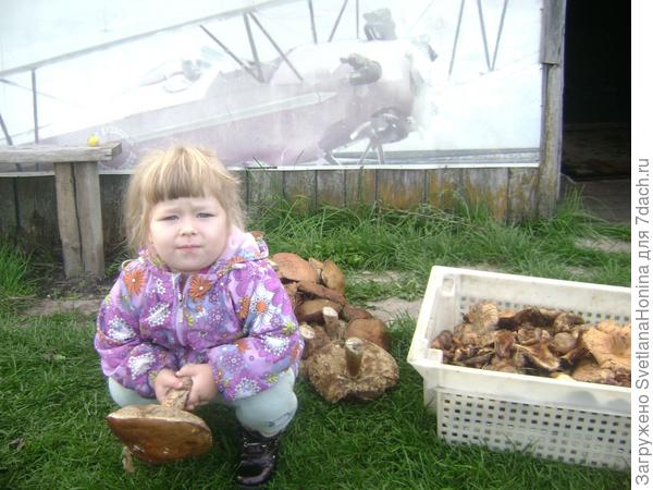 Помощница Ксения помогла собрать грибы