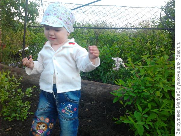 А вот и урожай