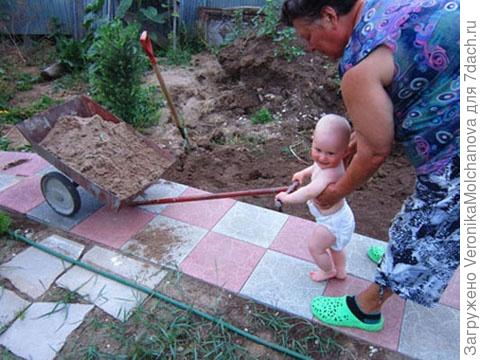 телега
