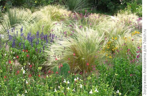 Осеннее разнотравье