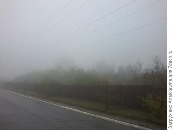 туман