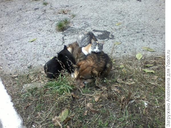 в нашем дворе