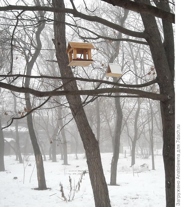 кормушки