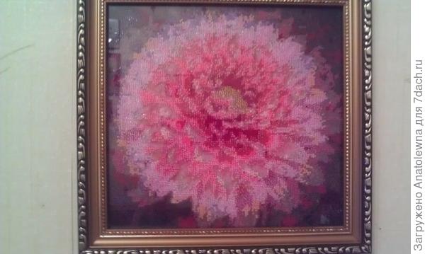 Хризантема, идея, подаренная Людмилой. Мой супруг мне сказал, что ему не нравится такая вышивка, попросил вышить эту же фотографию нитками мулине - крестиком. Сижу, корплю, вышиваю.  Самой интересно, будет отличаться или нет.