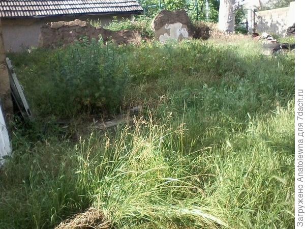 А вот это - вид со стороны соседей. Именно здесь, когда-то стоял старый дом. Видны его развалины.