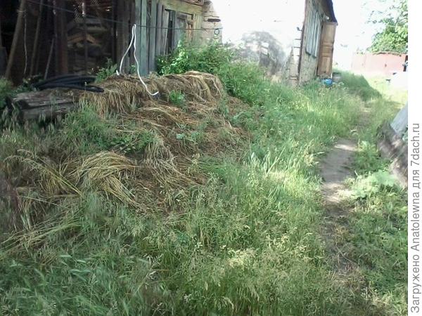 А здесь сбоку, притаились сараюшки.