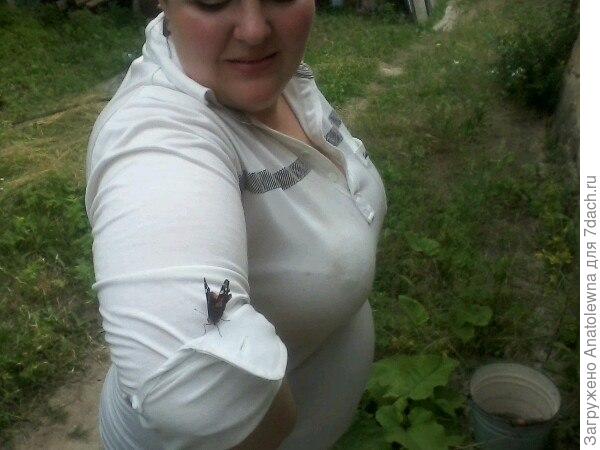Бабочка облюбовала рукав невестки.