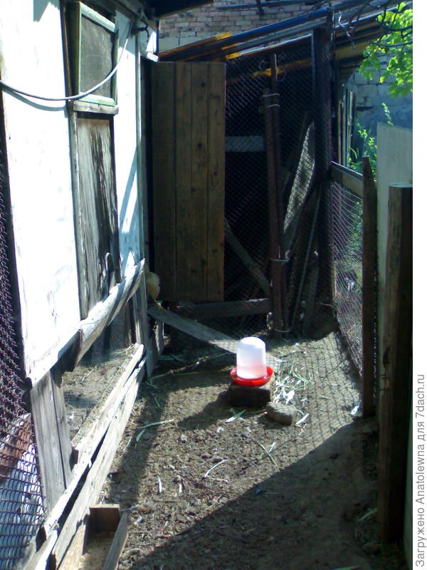 Вот это, внутренность птичьего дворика.