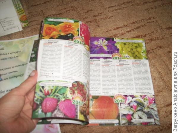 каталог