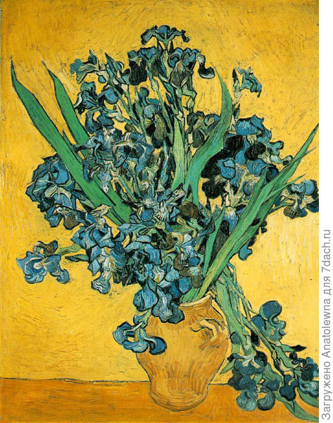 картина  Винсента Ван Гога