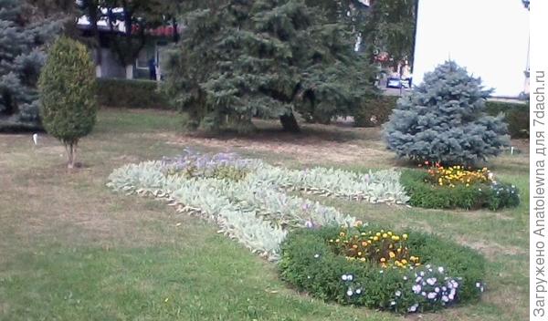 клумба