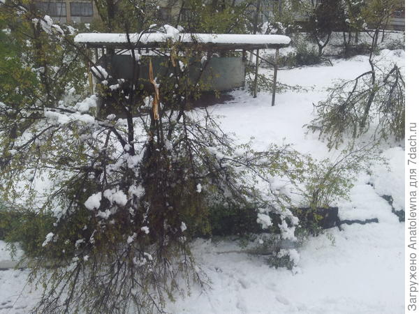 вот она, самая большая проблема.