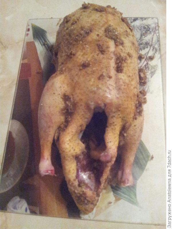 это тушка утки, я обмазала её смесью специй и оставила на пару часов.