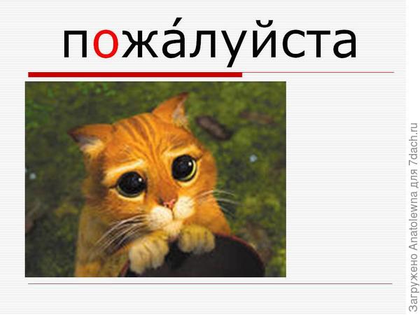 Дай мне пример пожалуйста