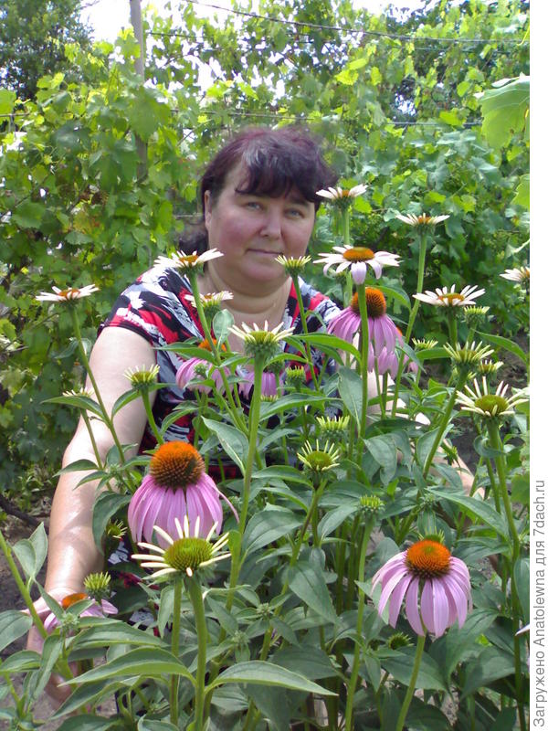 Эти цветы для вас.