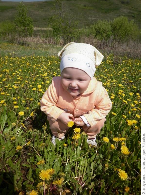 моя доченька Надя и поле одуванчиков!