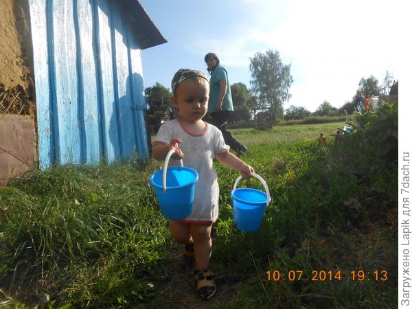 несу воду поливать помидоры