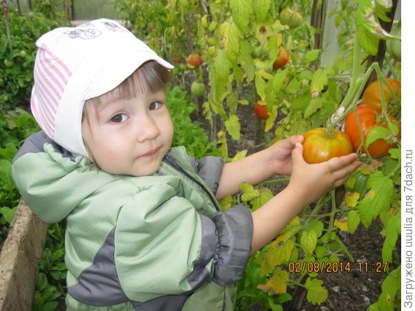 а вот эта мне по вкусу)
