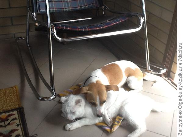 Ляпота!!!!вот бы весь год на даче жить