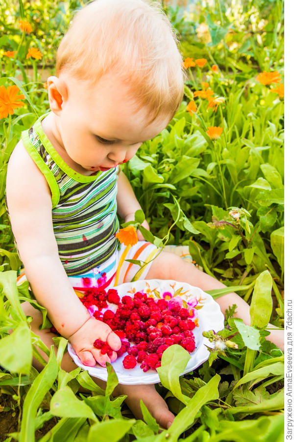 Ну очень вкусно!