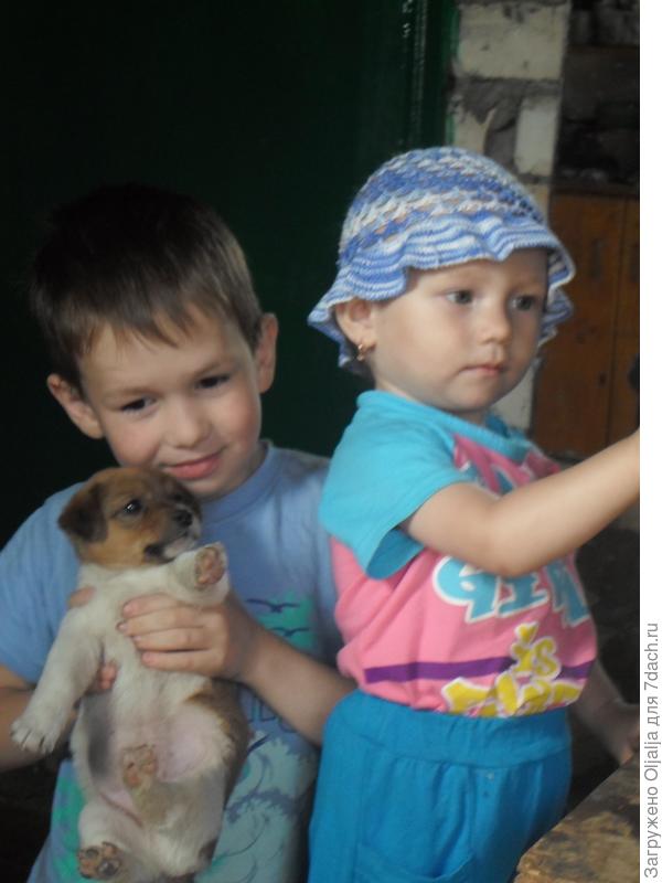 дети и звери