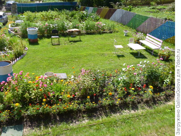 забор из паллет