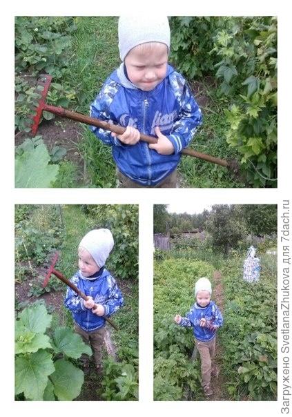 Димка проверяет свои дачные владения)))