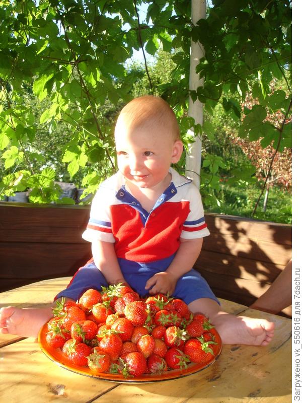 Пока Я собирал грибы, Паша собирал клубнику))