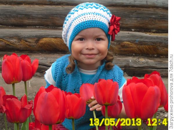 дашенька