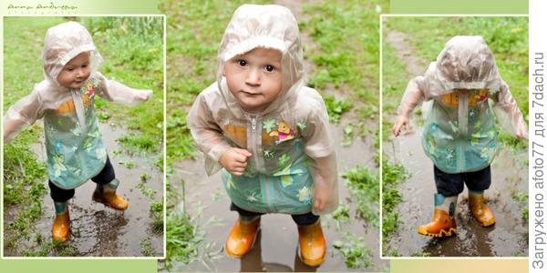 Мишутка в летних лужах