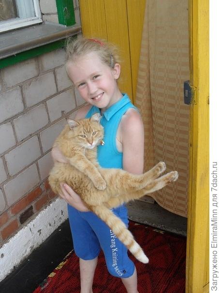 С котом Рыжиком