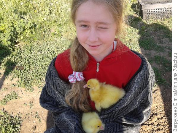 Стережем от ворон!