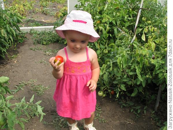 Настенька готовится съесть вкусненькую помидорку