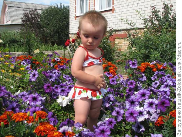 Настя и петунии