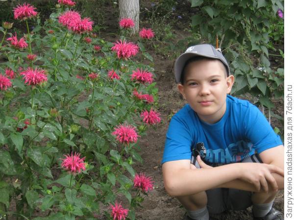 на фото сын Андрей и цветы