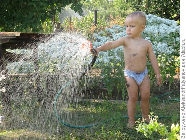 подхожу со всей серьезностью к поливу
