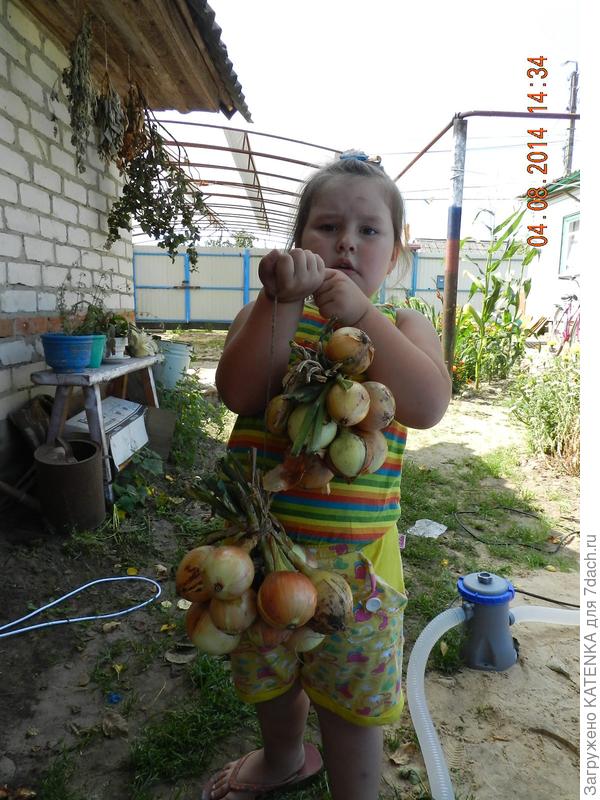 Аленка помогает маме со сбором урожая!