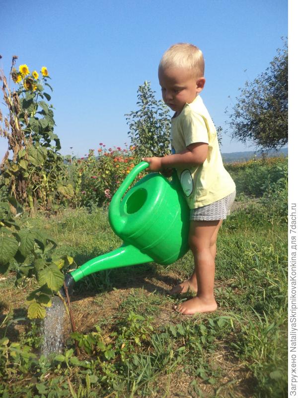 полив