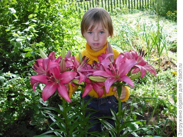 Полина и лилии