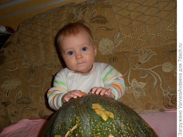принцесса и тыква, 2011 г