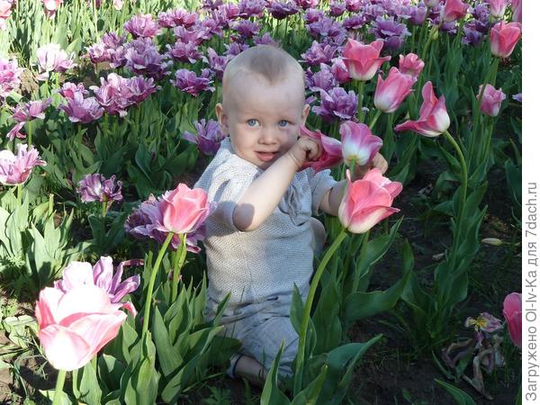 Среди цветов