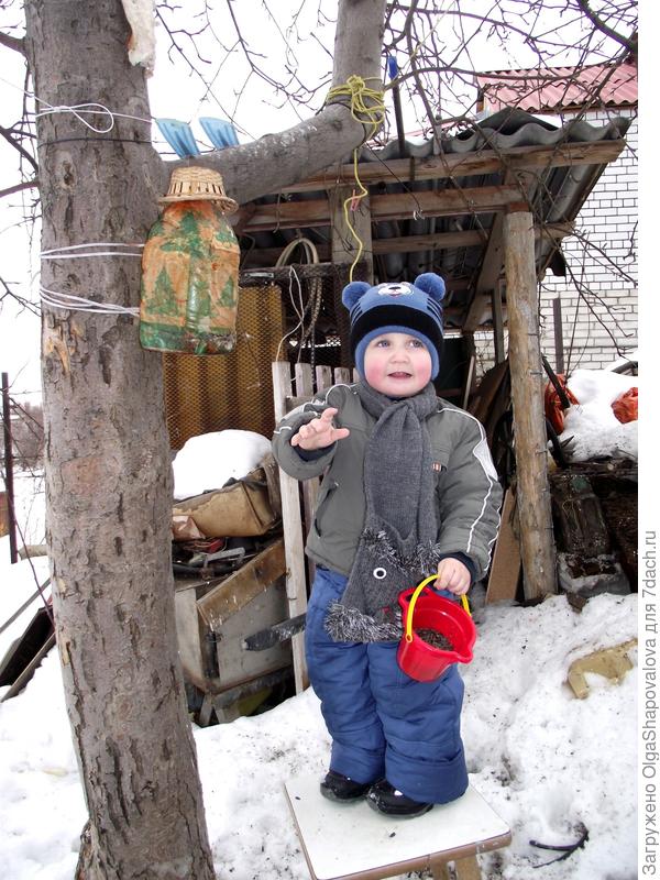 Тёма приезжает регулярно на дачу,чтоб самому покормить птичек! Специально синичкам покупаем семечки!